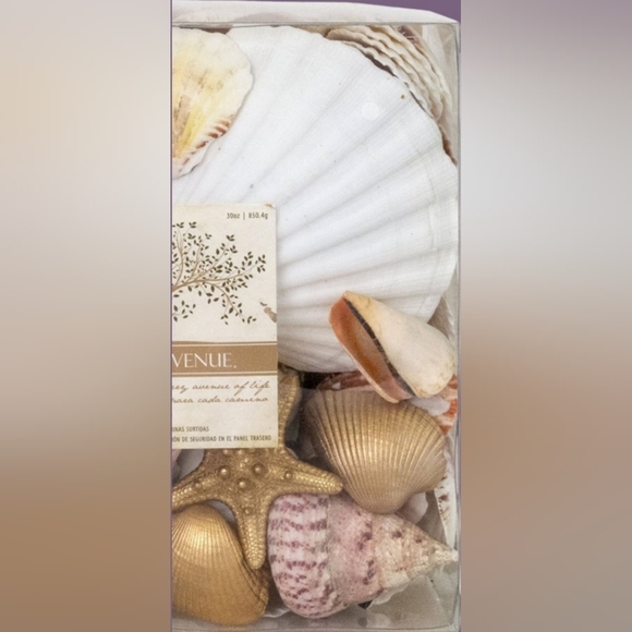 NIB BOTANICAL AVENUE DECORATIVE VASE FILLER W/NATURAL SEASHELLS AND GOLD ACCENTS - Picture 3 of 6